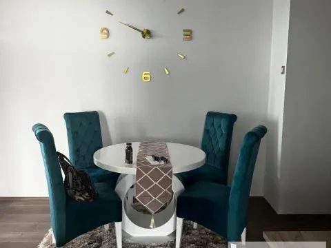 Izdavanje, dvosoban stan, 60m², Zemun Sve Podlokacije, Beograd - image 4