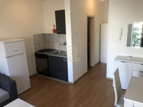 Izdavanje, jednosoban stan, 28m², Socijalno, Novi Sad Sve Podlokacije - image 5