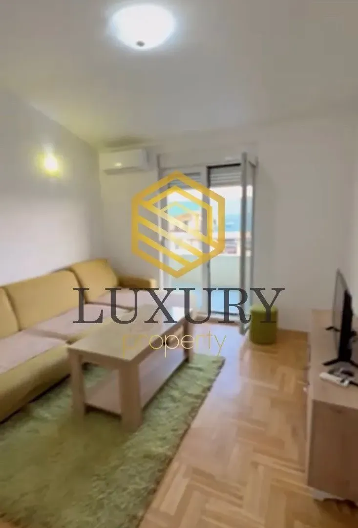 Izdavanje, jednosoban stan, 45m², Stari Aerodrom, Podgorica