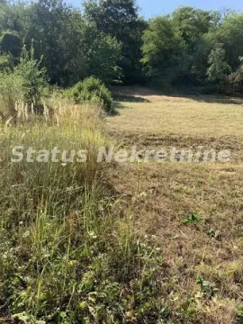 Pogled na zemljište sa zelenilom i drvećem. - image 10