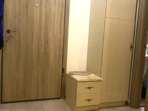 Rent, one bedroom apartment, 45m², Vezirov Most, Podgorica - image 13