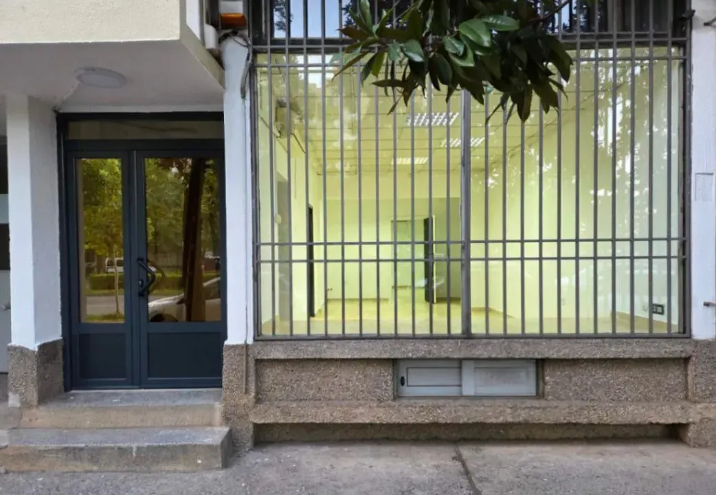 Izdavanje, poslovni prostor, 48m², Baston, Podgorica