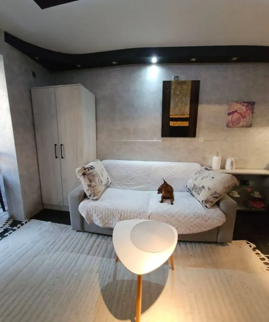 Sale, studio apartment, 25m², Zagorič, Podgorica