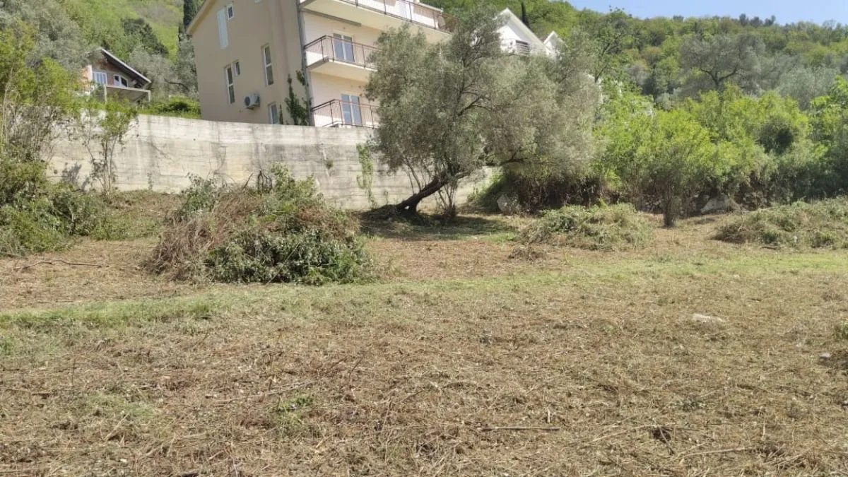 Prodaja, plac, 2145m², Tivat, Crna Gora