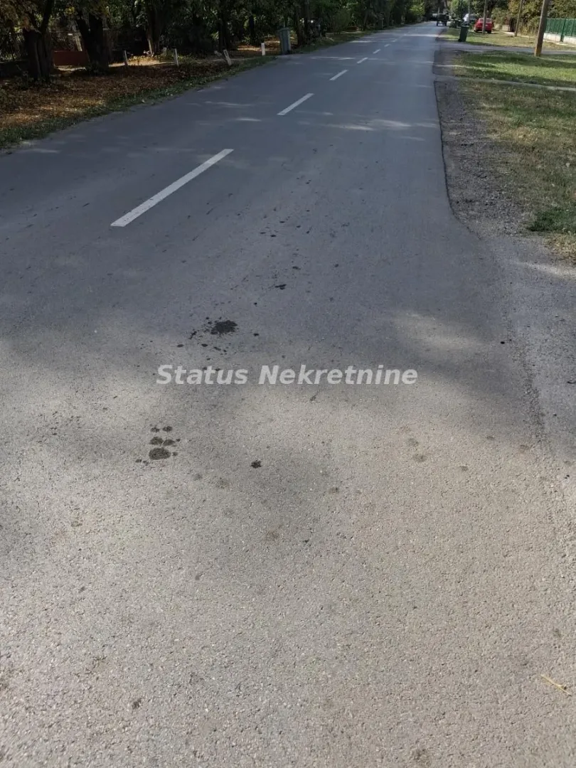 Asfaltirana ulica sa zelenilom pored puta.