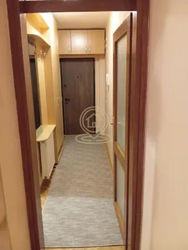 Izdavanje, jednosoban stan, 27m², Socijalno, Novi Sad Sve Podlokacije - image 7