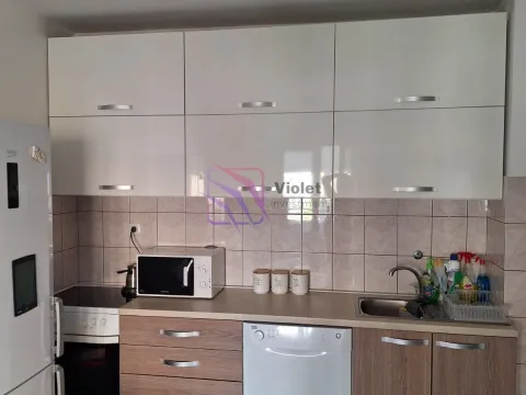 Izdavanje, jednosoban stan, 35m², Stari Aerodrom, Podgorica - image 7