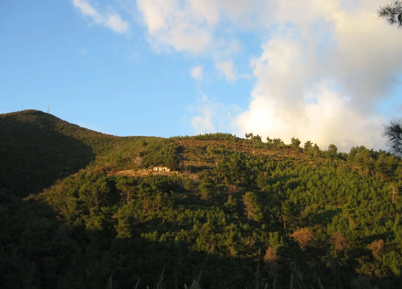 Prodaja, plac, 9500m², Budva, Crna Gora