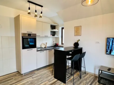 Izdavanje, dvosoban stan, 49m², Potoci, Zlatibor - image 9