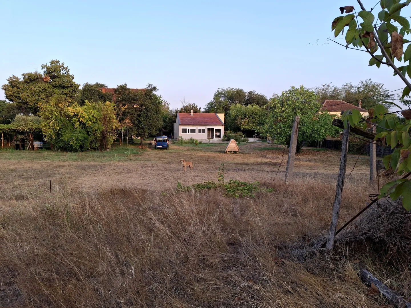 Pogled na dvorište i kuću sa travnjakom.