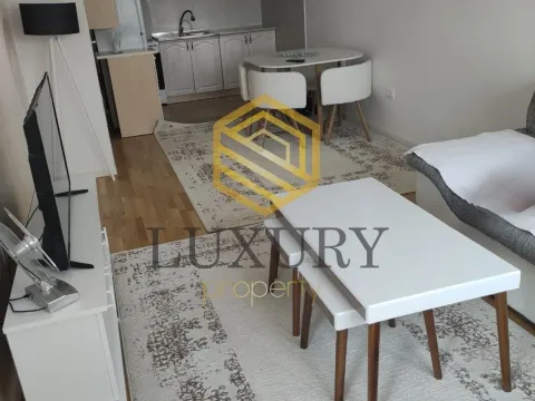 Izdavanje, jednosoban stan, 43m², Stari Aerodrom, Podgorica - image 2