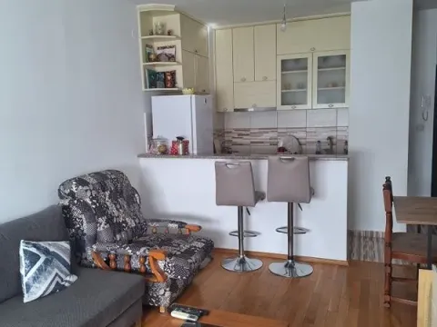 Izdavanje, jednosoban stan, 37m², Stari Aerodrom, Podgorica - image 4