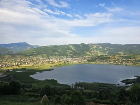 Prodaja, plac, 8500m², Plav, Crna Gora - image 9