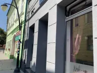 Izdavanje, ugostiteljski objekat, 226m², Sremski Karlovci, Novi Sad - image 6