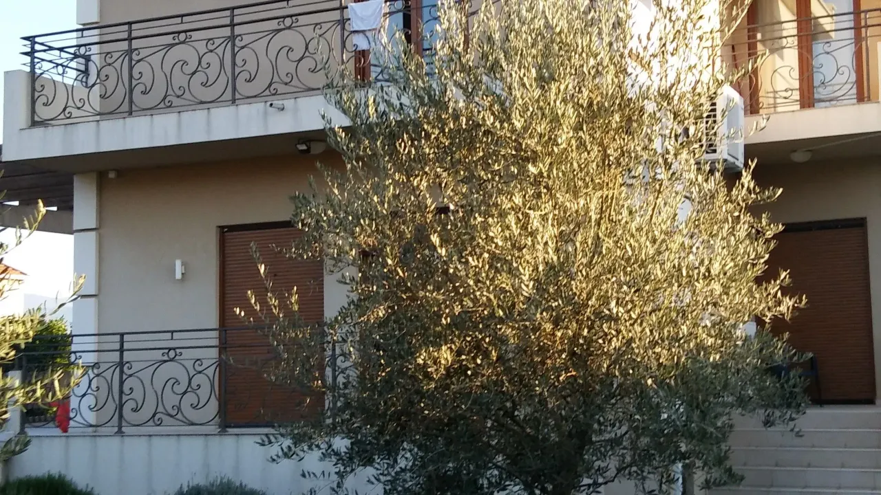 Rent, house, 262m², Zabjelo, Podgorica