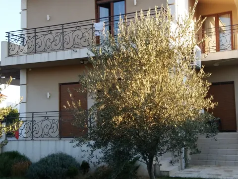 Rent, house, 262m², Zabjelo, Podgorica - image 1