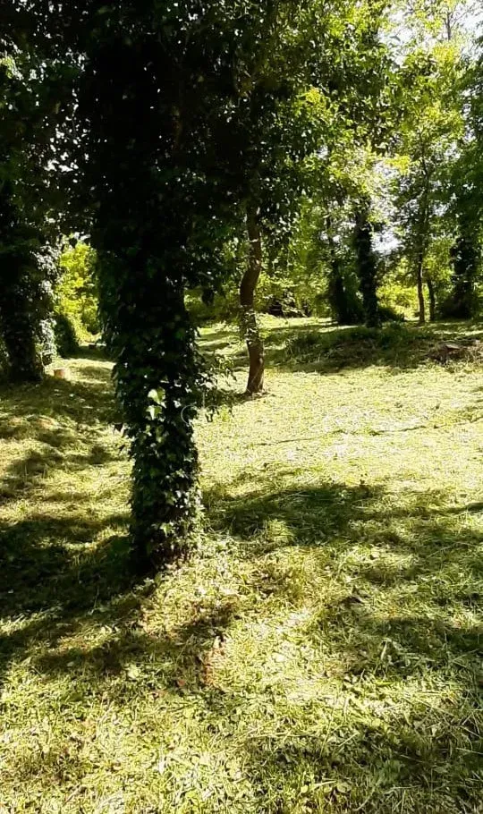 Prodaja, plac, 790m², Kotor, Crna Gora