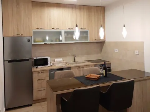 Izdavanje, jednosoban stan, 50m², Zabjelo, Podgorica - image 5