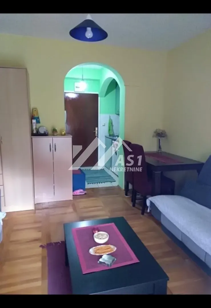 Izdavanje, stan, 25m², Bulevar Oslobodjenja, Novi Sad Sve Podlokacije