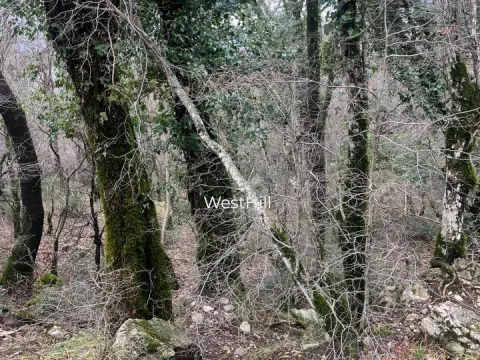 Prodaja, plac, 47894m², Danilovgrad, Crna Gora - image 5