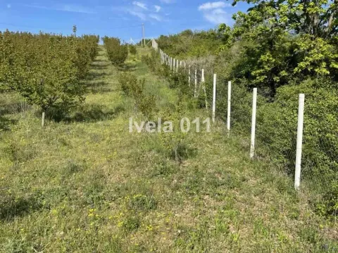 Prodaja, plac, 6200m², Grocka, Beograd - image 4