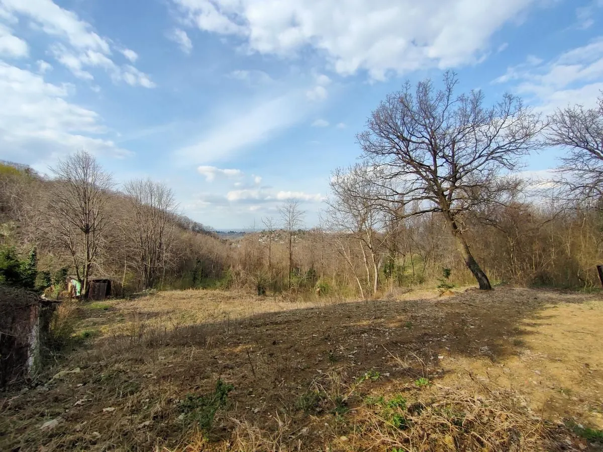 Prodaja, plac, 1200m², Sremska Kamenica, Petrovaradin