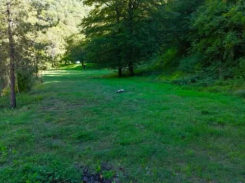 Prodaja, plac, 54000m², Plužine, Crna Gora - image 3