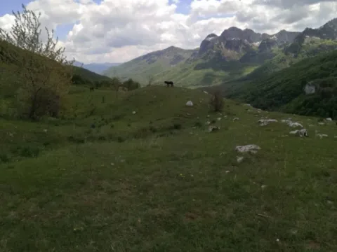 Prodaja, plac, 32013m², Gornje Lipovo, Kolašin - image 3