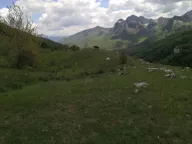 Prodaja,  zemljište, 32013m2, Gornje Lipovo, Kolašin