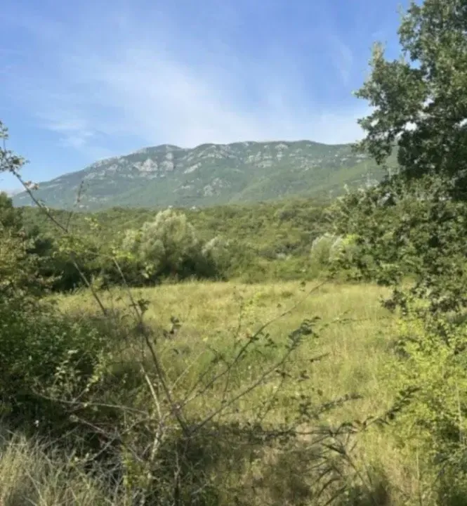 Sale, land lot, 1100m², Lastva Grbaljska, Kotor