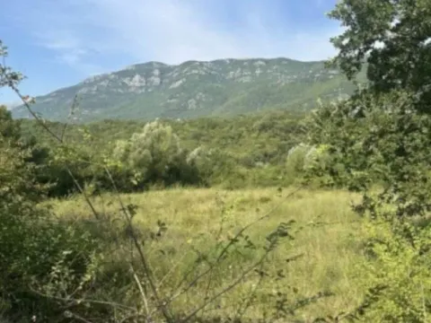Sale, land lot, 1100m², Lastva Grbaljska, Kotor