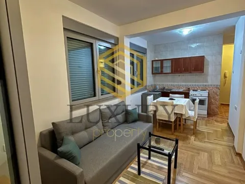 Izdavanje, jednosoban stan, 28m², Zabjelo, Podgorica - image 4