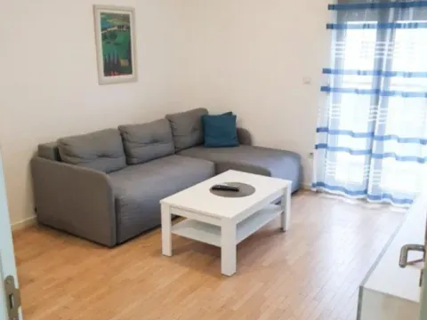 Izdavanje, jednosoban stan, 45m², Blok 9, Podgorica - image 4