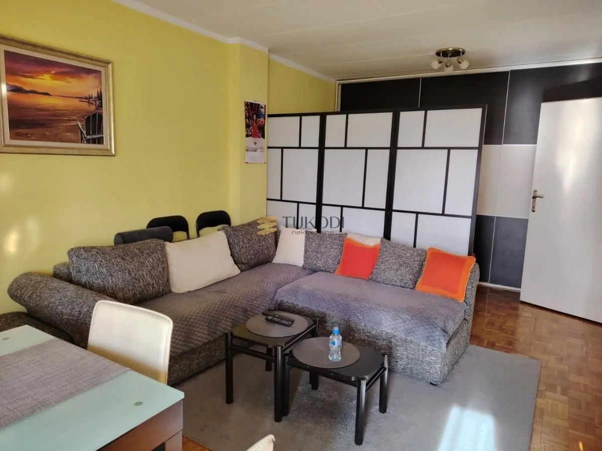 Izdavanje, dvosoban stan, 50m², Novi Beograd Blok 45, Novi Beograd Sve Podlokacije