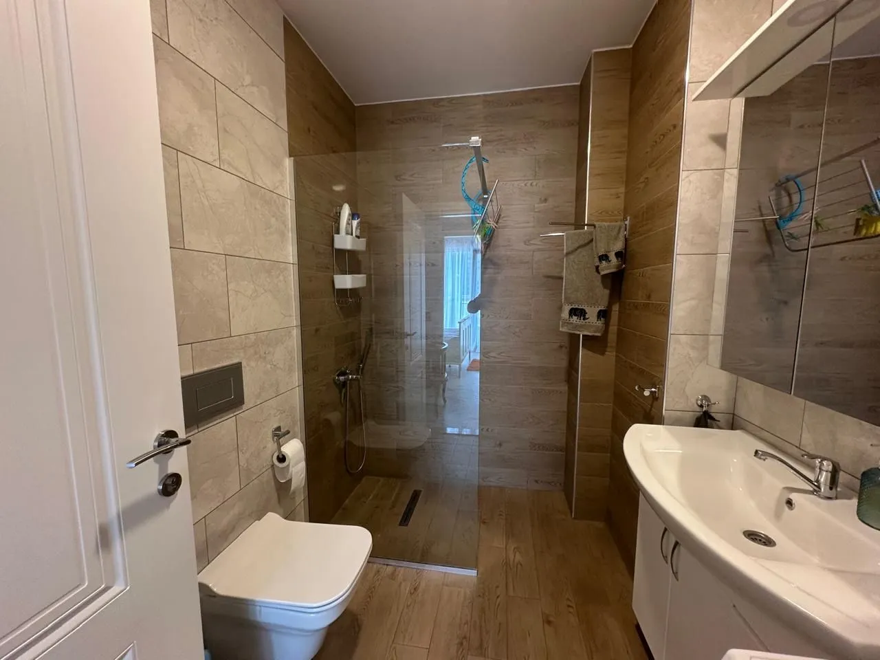Modernly equipped bathroom with a walk-in shower and a washbasin.