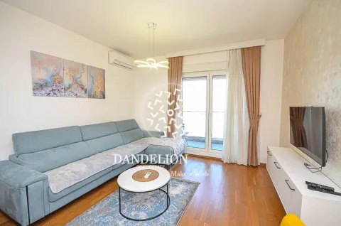 Rent, one bedroom apartment, 59m², Central Point, Podgorica - image 1426