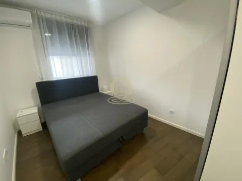 Izdavanje, dvosoban stan, 78m², Vračar Sve Podlokacije, Beograd - image 5