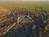 Prodaja, plac, Batajnica, Beograd - image 9