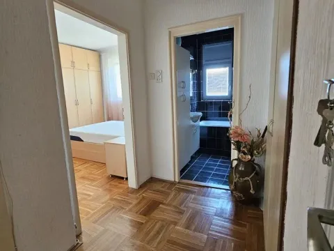 Rent, one bedroom apartment, 42m², Karaburma, Palilula Sve Podlokacije - image 6