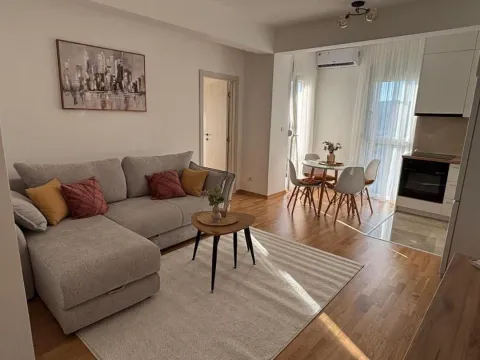 Rent, one bedroom apartment, 47m², Zabjelo, Podgorica - image 3