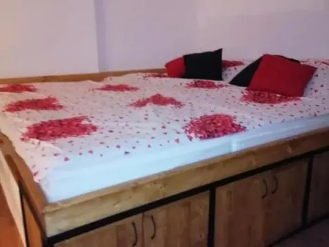 Izdavanje, jednosoban stan, 42m², Petrovaradin, Novi Sad - image 11