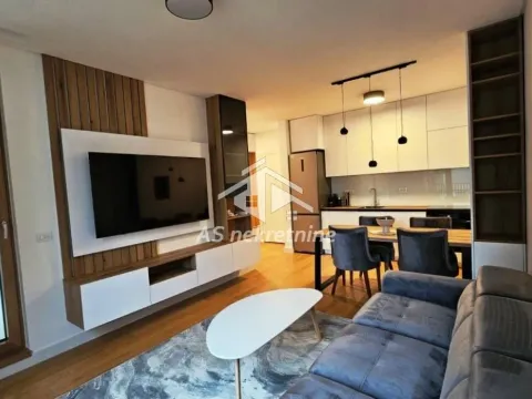 Izdavanje, dvosoban stan, 47m², Vračar Sve Podlokacije, Beograd - image 2