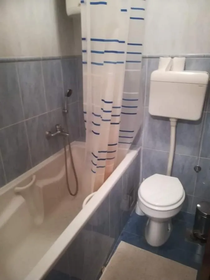 Izdavanje, dvosoban stan, 52m², Bulevar Oslobodjenja, Novi Sad Sve Podlokacije
