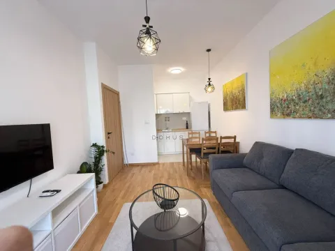 Rent, one bedroom apartment, 37m², Zabjelo, Podgorica - image 2