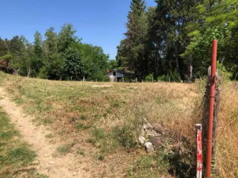 Sale, land lot, 1300m², Usije, Golubac - image 9