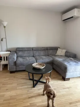 Rent, three bedroom apartment, 58m², Čukarica, Beograd - image 5