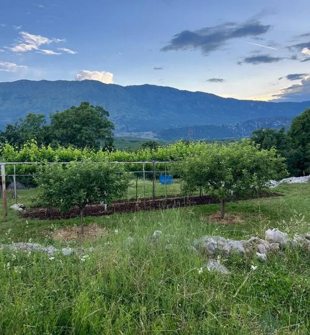 Prodaja, plac, 30000m², Danilovgrad, Crna Gora