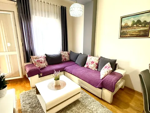 Izdavanje, jednosoban stan, 42m², Ljubović, Podgorica - image 1