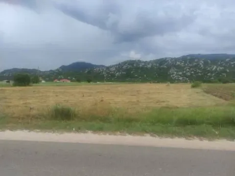 Sale, land lot, 3000m², Grahovo, Nikšić - image 4