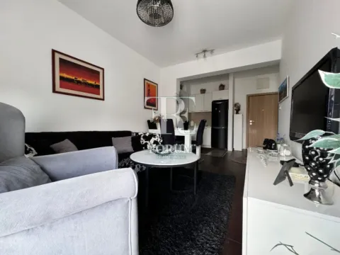 Izdavanje, jednosoban stan, 50m², Vezirov Most, Podgorica - image 4